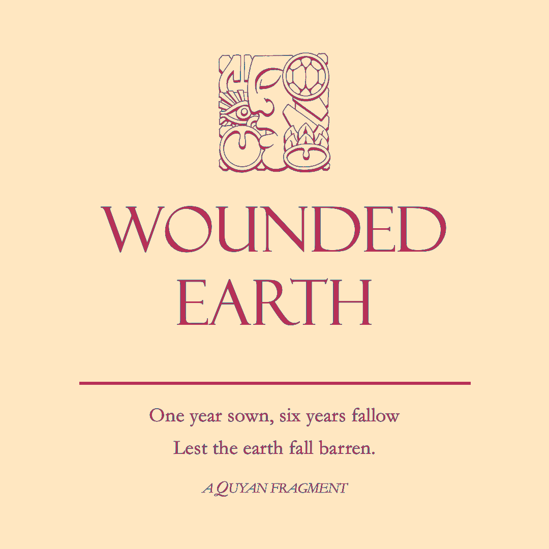 Chapter 11 of The Darkness Under The Trees