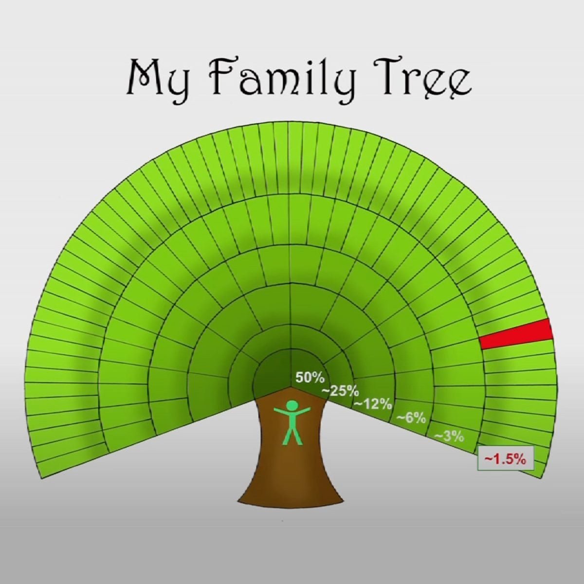 family tree with Neandertal component © www.family-tree-template.org